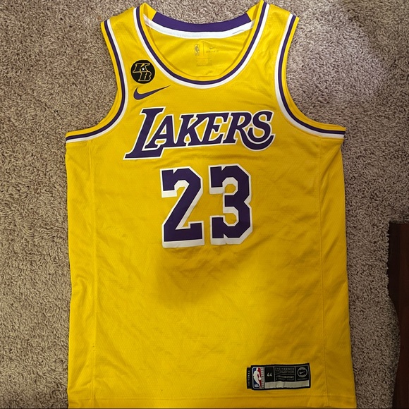 Nike LeBron James Icon Edition Swingman Jersey (Los Angeles Lakers) S